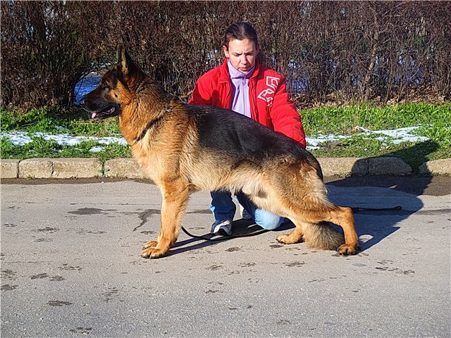  2,5 года.jpg