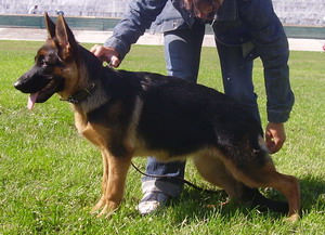 P9150003.jpg