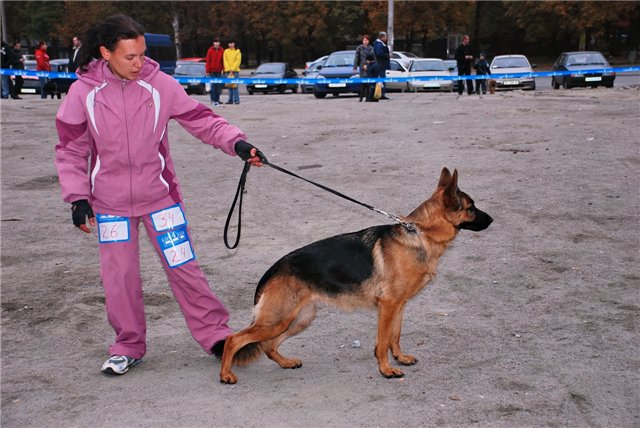 4 2.11.08г..jpg
