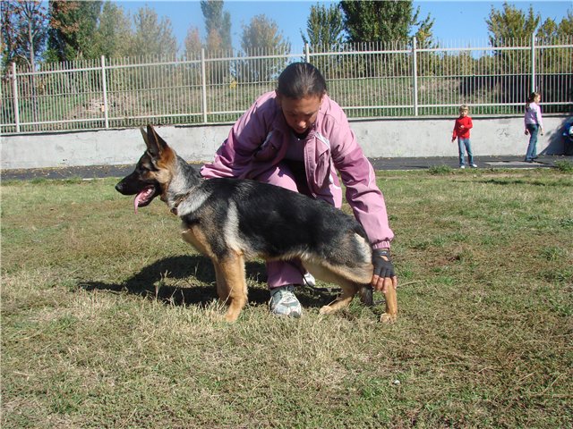  12.10.08г. стойка.jpg