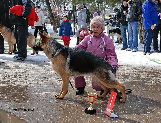  УКФ 2.03.09г...jpg