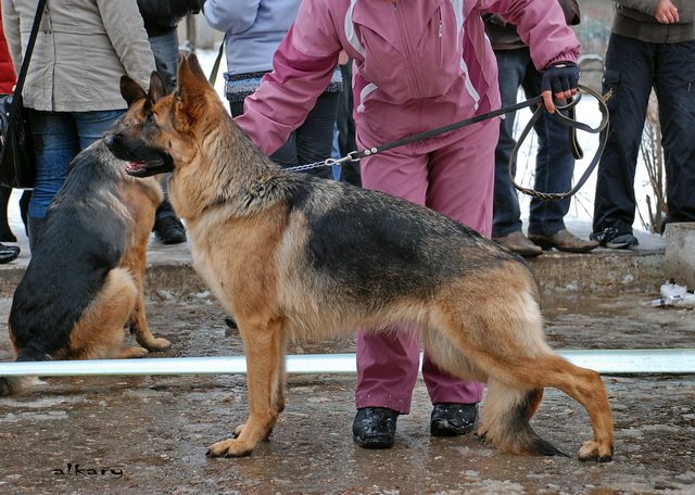 УКФ 2.03.09г....jpg