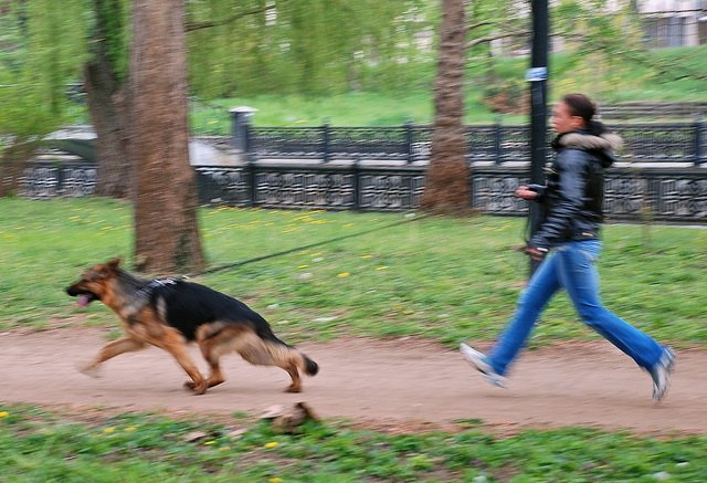  движении.jpg