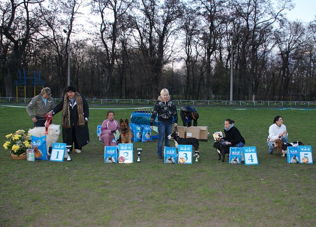  17.04.10г.3.jpg