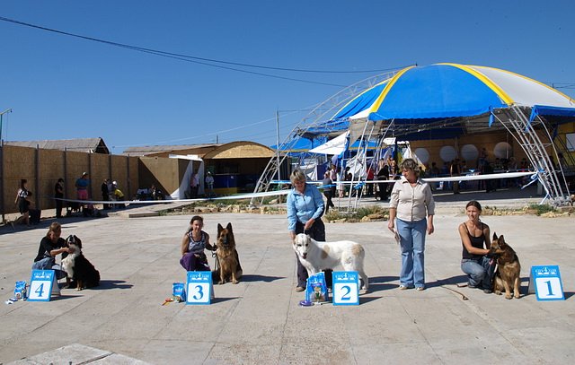  2010 1.jpg