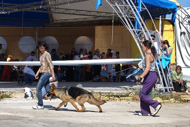  2010 3.jpg
