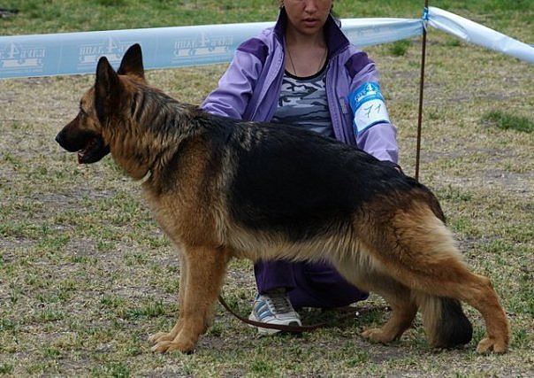  ККУ 3.jpg