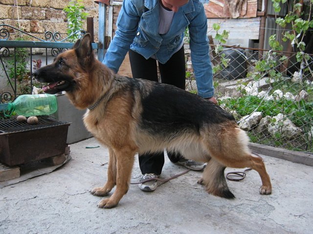 2 года стойка1.jpg