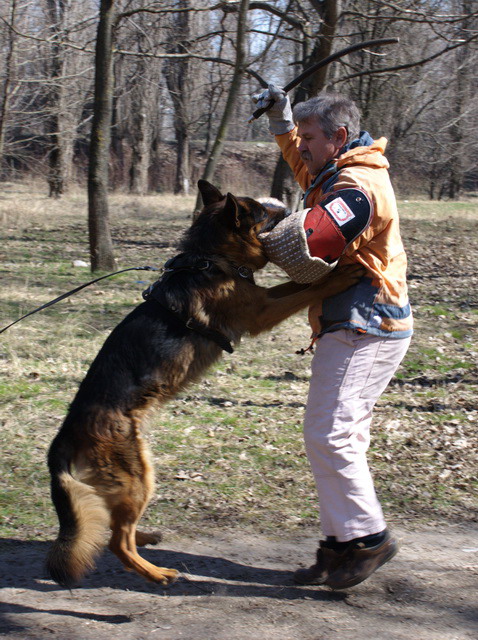  2 года 5 мес 1.jpg