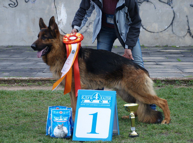  UCI 17.04.11г. 1.jpg