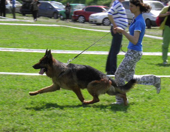  КСУ 29.05.11г. 51.jpg