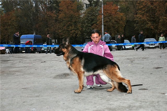 2 2.11.08г..jpg