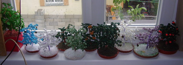  на подоконнике 28.08.12г.-1.jpg