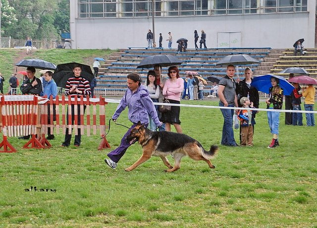  Рог ККУ 17.05.09г...jpg