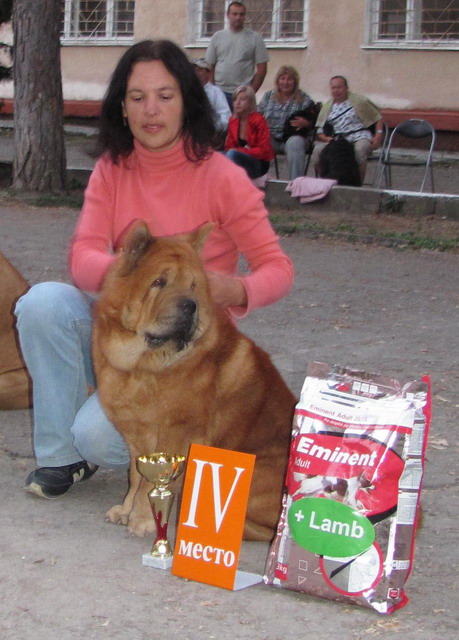  7 октября УКФ 1.jpg