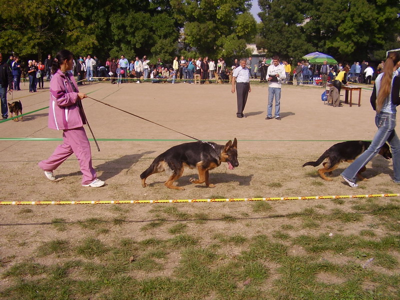  Чемпионат2.jpg