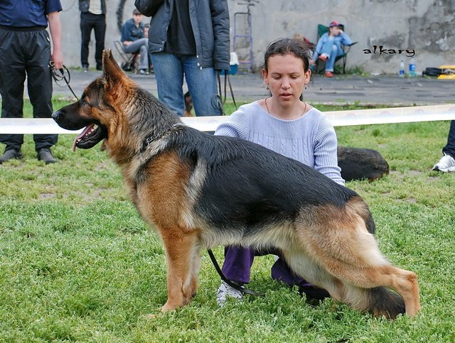  ККУ 16.05.09г.3.jpg