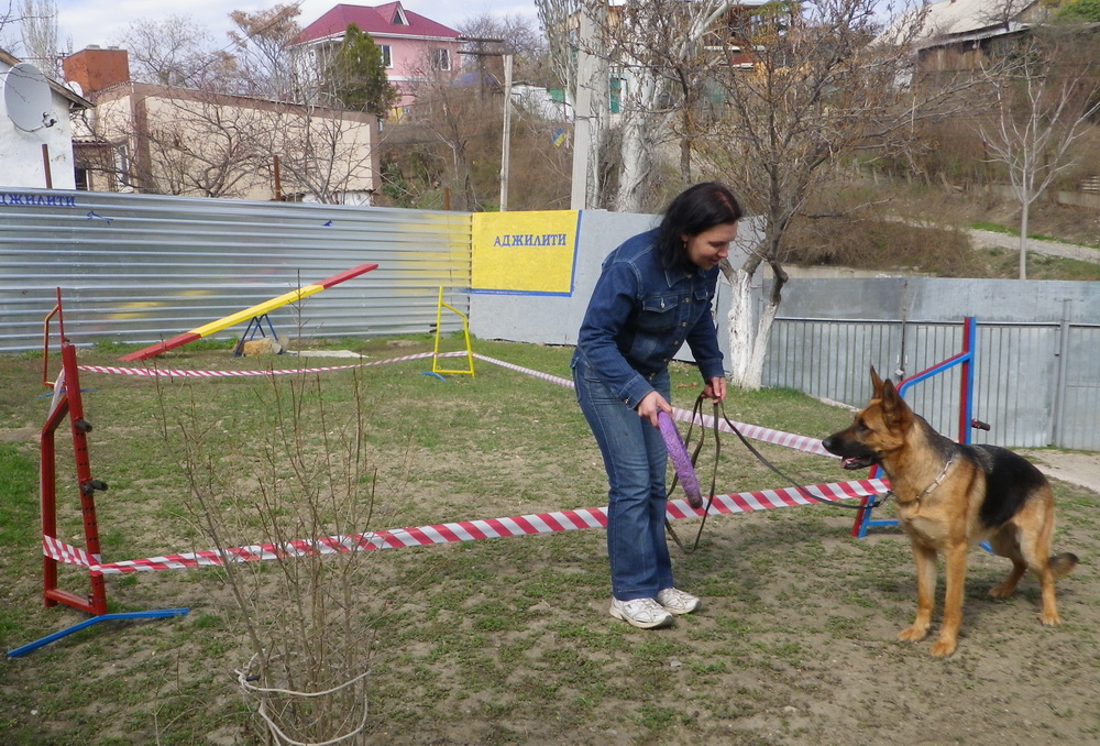 IMGP0815.JPG
