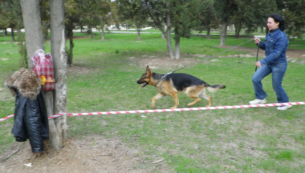 IMGP0885.JPG