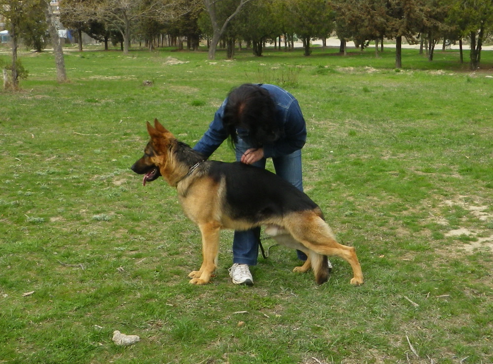 IMGP0894.JPG
