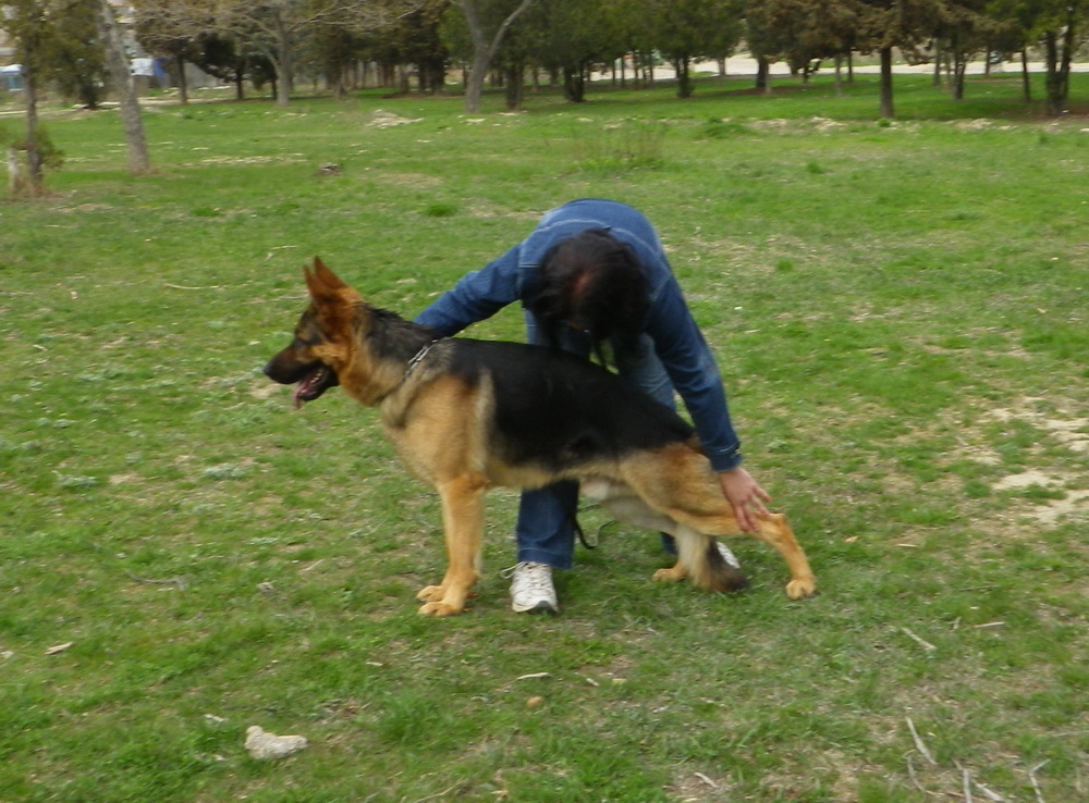 IMGP0897.JPG