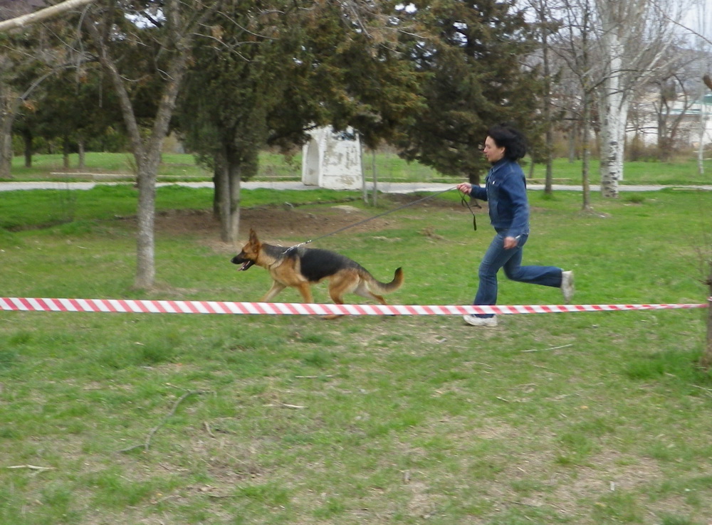 IMGP0911.JPG