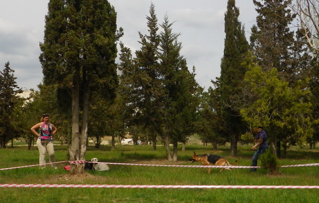 IMGP2467.JPG