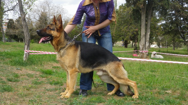 IMGP2475.JPG