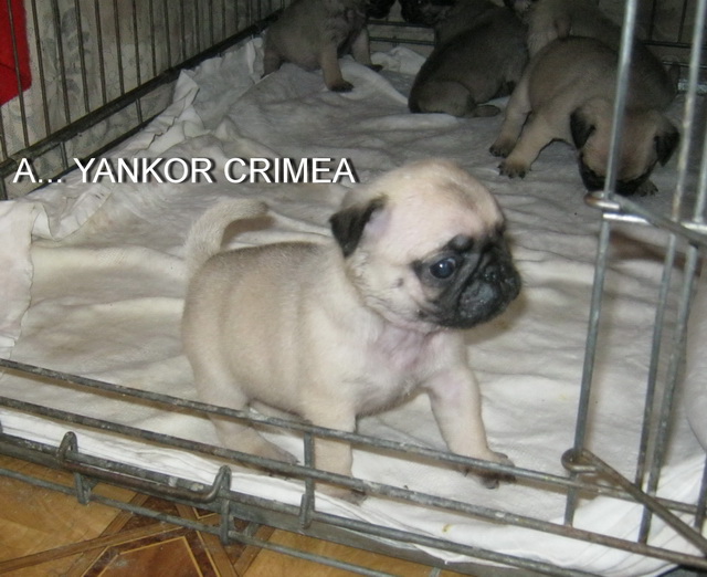 1 месяц 6.jpg