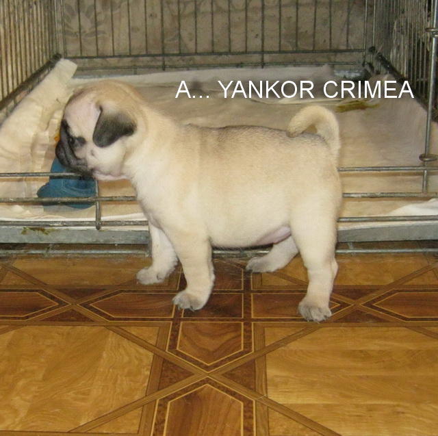 1 месяц и 5 дней 1.jpg
