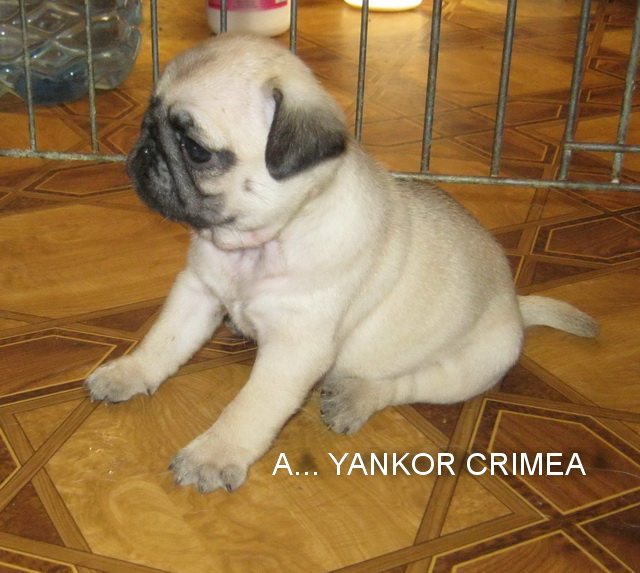 1 месяц и 5 дней 3.jpg
