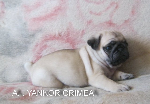 1 месяц и 5 дней 6.jpg