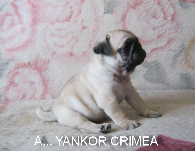 1 месяц и 5 дней 7.jpg