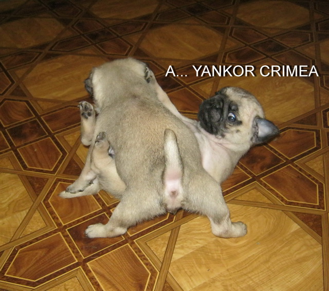 1 месяц и 8 дней 3.jpg