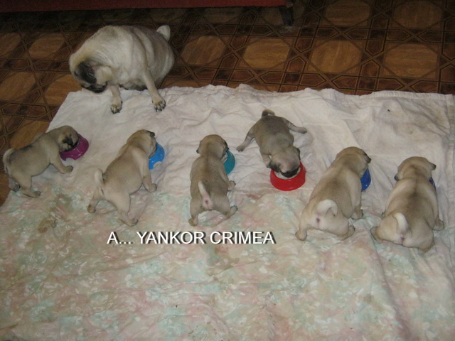 1 месяц и 12 дней 1.jpg