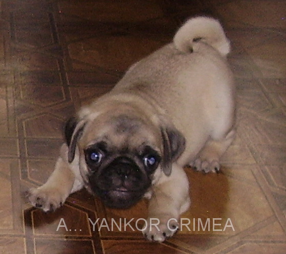 2 месяца 9 дней 4.JPG