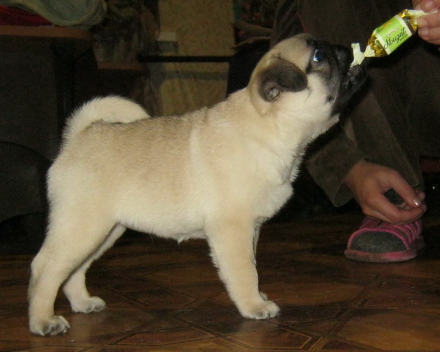 IMG_8327_1.jpg