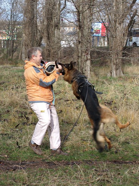  2 года 2 мес15.jpg