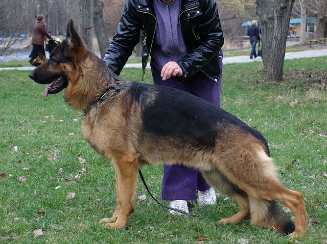  2 года 2 мес1.jpg