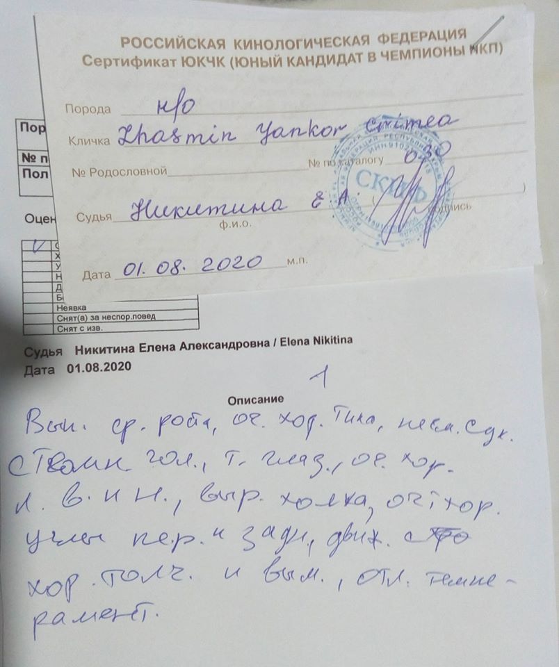 1.08.20_моно_4_описание_ЮКЧК.jpg