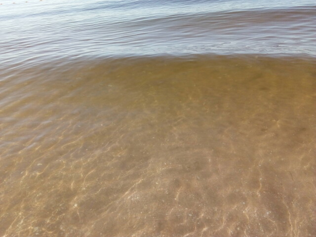 11.09.sea1_.jpg