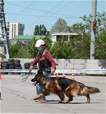 15.05.21_Simferopol_dvizhenie.jpg