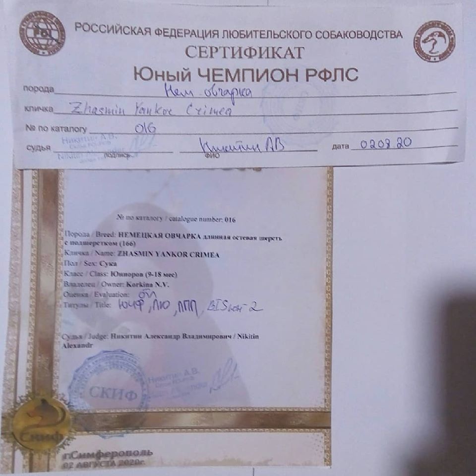 2.08.20_чф_7_диплом_ЮЧФ.jpg