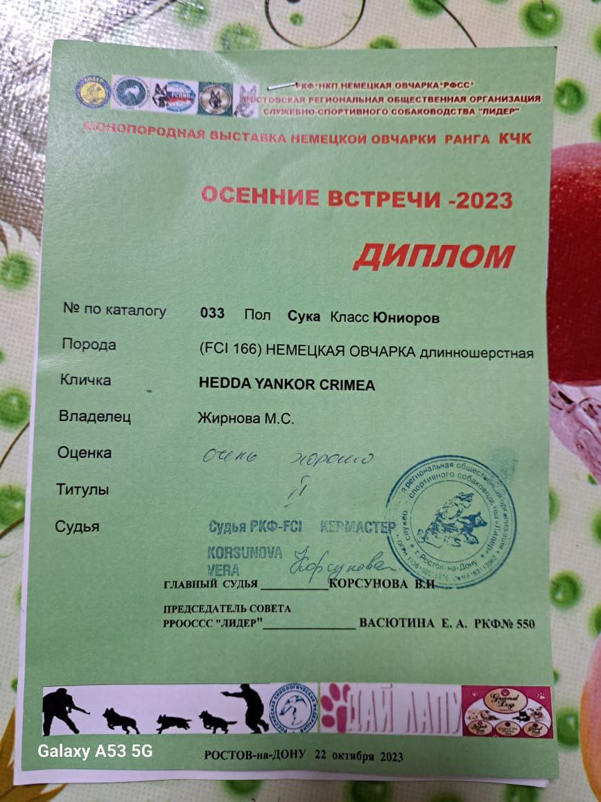 22.10.23_моно_Ростов.диплом.jpg