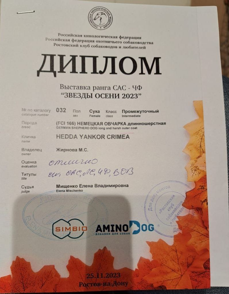 23.11.23_Ростов_диплом2.jpg