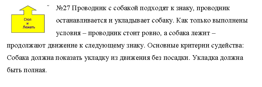 27.png