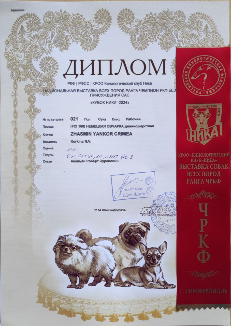 28.04.24_zhasmin_simferopol_diplom.jpg