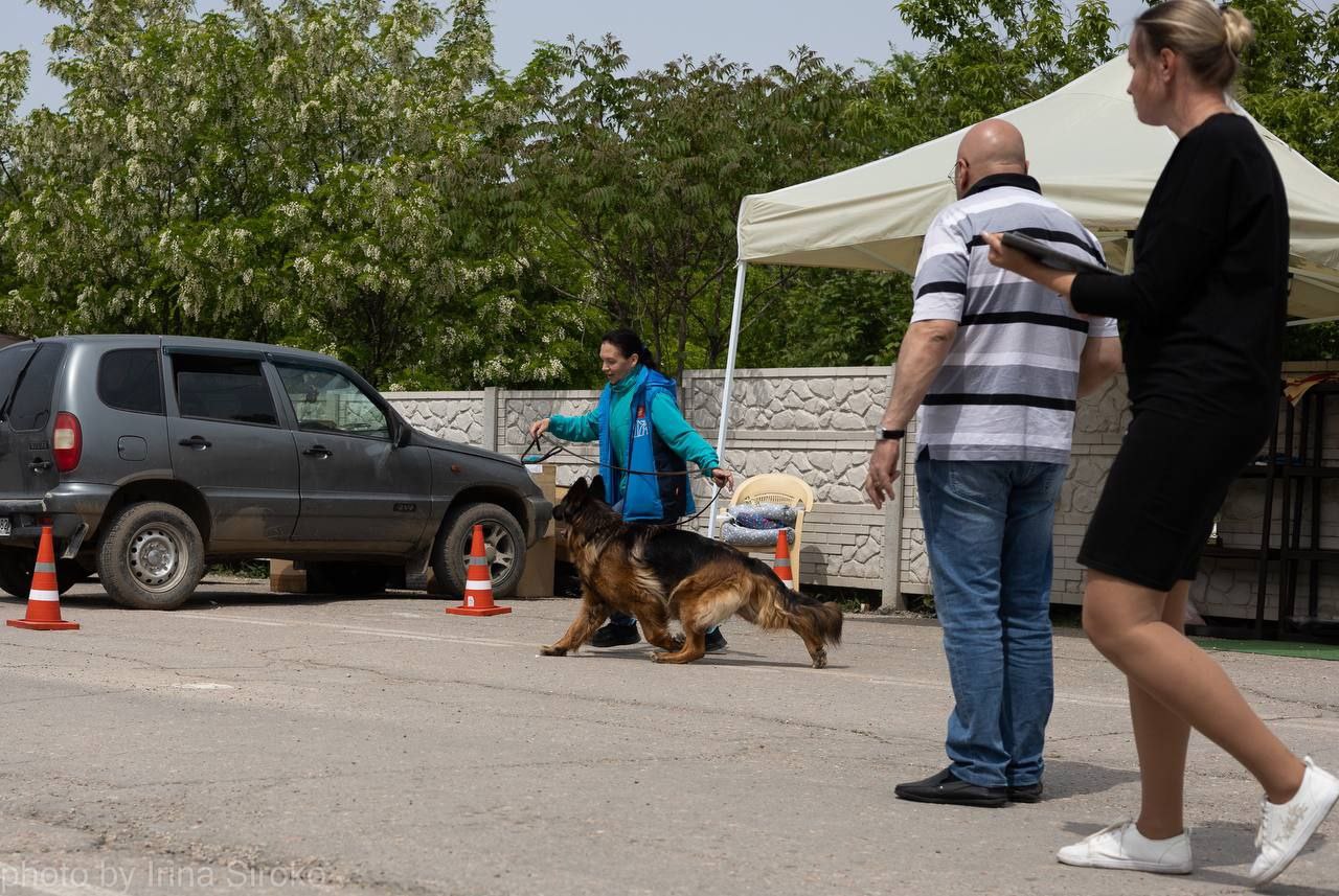 28.04.24_zhasmin_simferopol_ring5.jpg