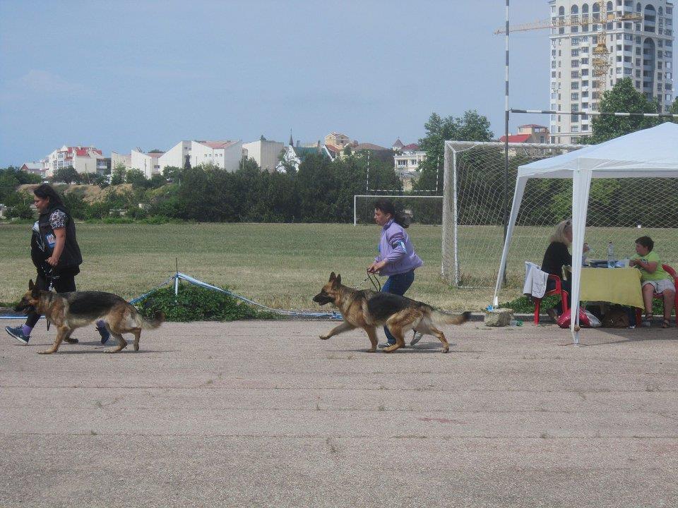 29.05.2016_СКОР_Севастополь_3.jpg