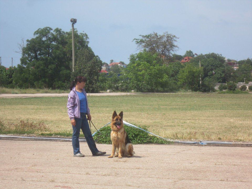 29.05.2016_СКОР_Севастополь_4.jpg